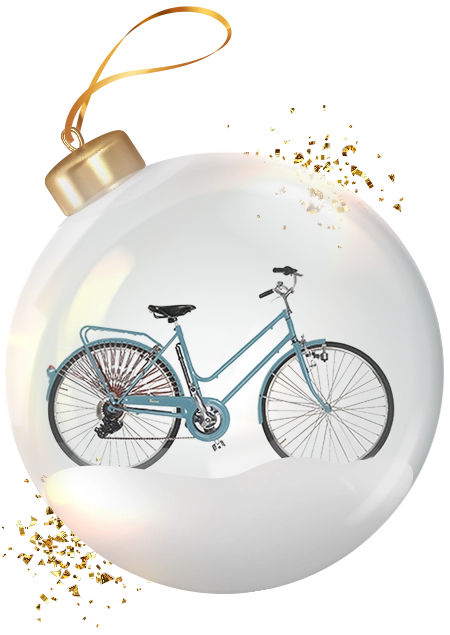 Progetto_udire_Potrai_vincere_bicicletta_taurus_palla_01